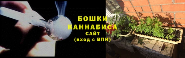 гидра Кинешма